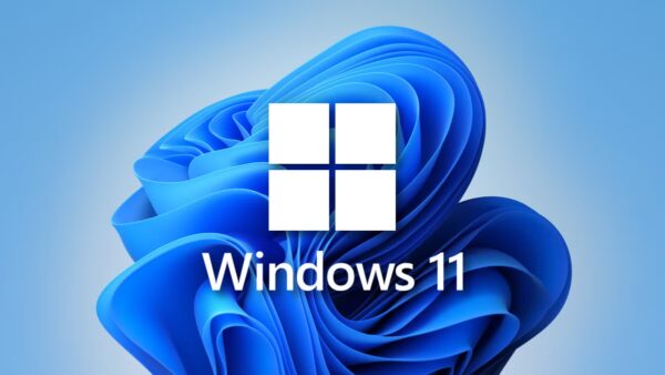 Windows 11 Generic Dell Latitude 5310 Laptop, 13